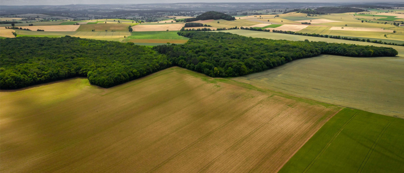 Agriculture Land 01