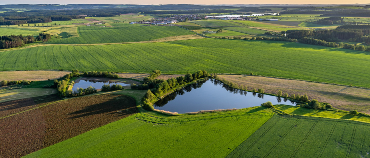 Agriculture Land 02