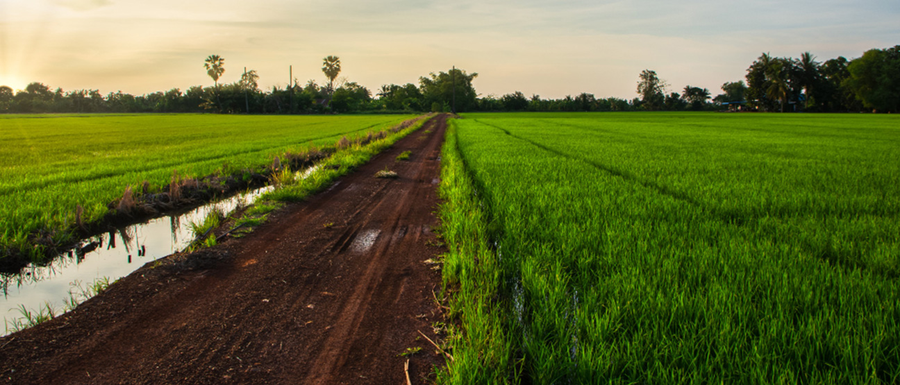 Agriculture Land 04