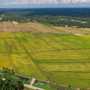 high angle view agricultural field 1 e1747819468442